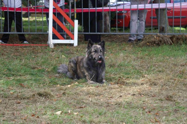foire-haricots 2011-09-17et18